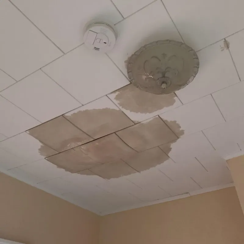 Ceiling Water Damage Repair in Wading River, NY